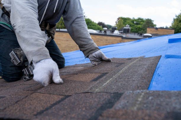 Quick and Trustworthy Emergency Roof Repair Services in Brigham City, UT