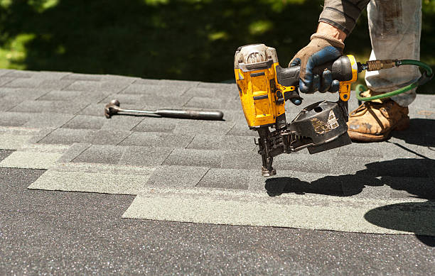 Best Roof Gutter Cleaning  in Brigham City, UT